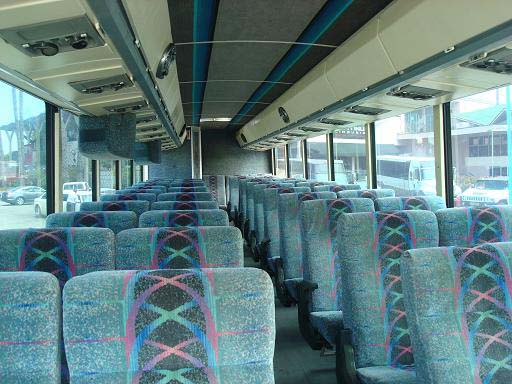 43 Passenger Party Bus